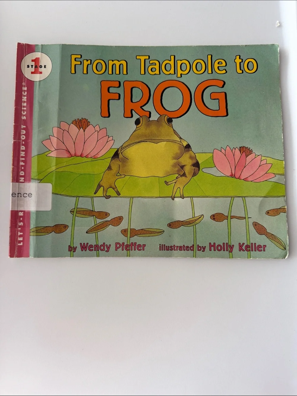 Toddler books bundle